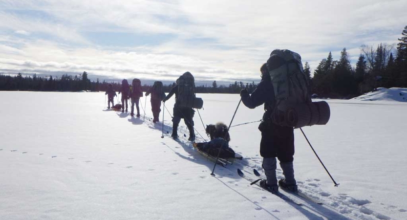 A line of people cross country ski across a vast snowy area. Some of them carry backpacks and others pull small sleds behind them. 